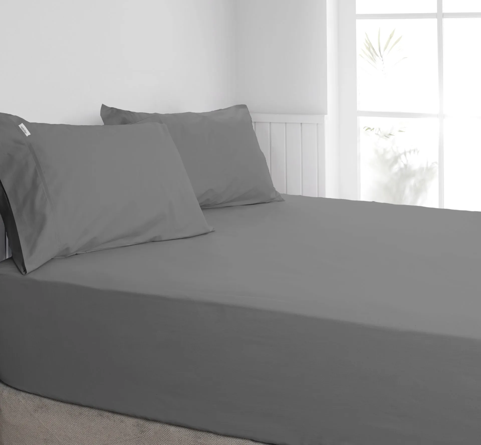 ALGODON "300TC Cotton" FITTED SHEET Combo Set - CHARCOAL