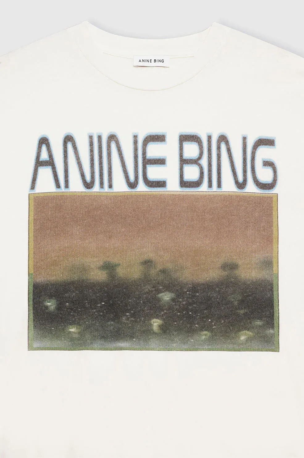 Anine Bing Cade Tee Mushrooms in Off White