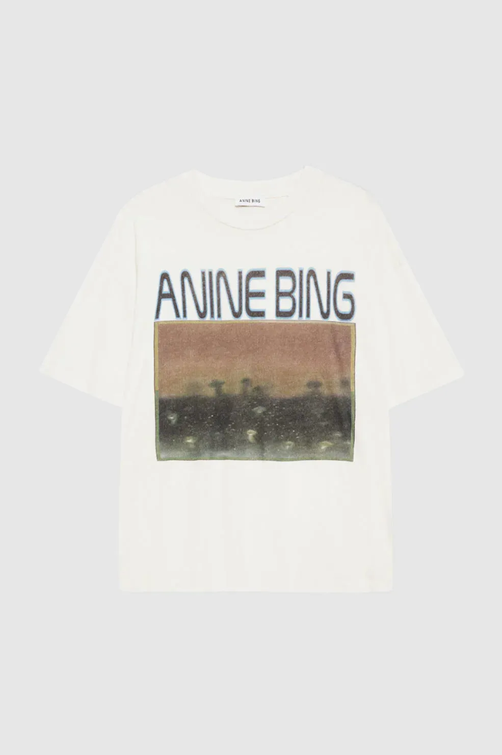 Anine Bing Cade Tee Mushrooms in Off White