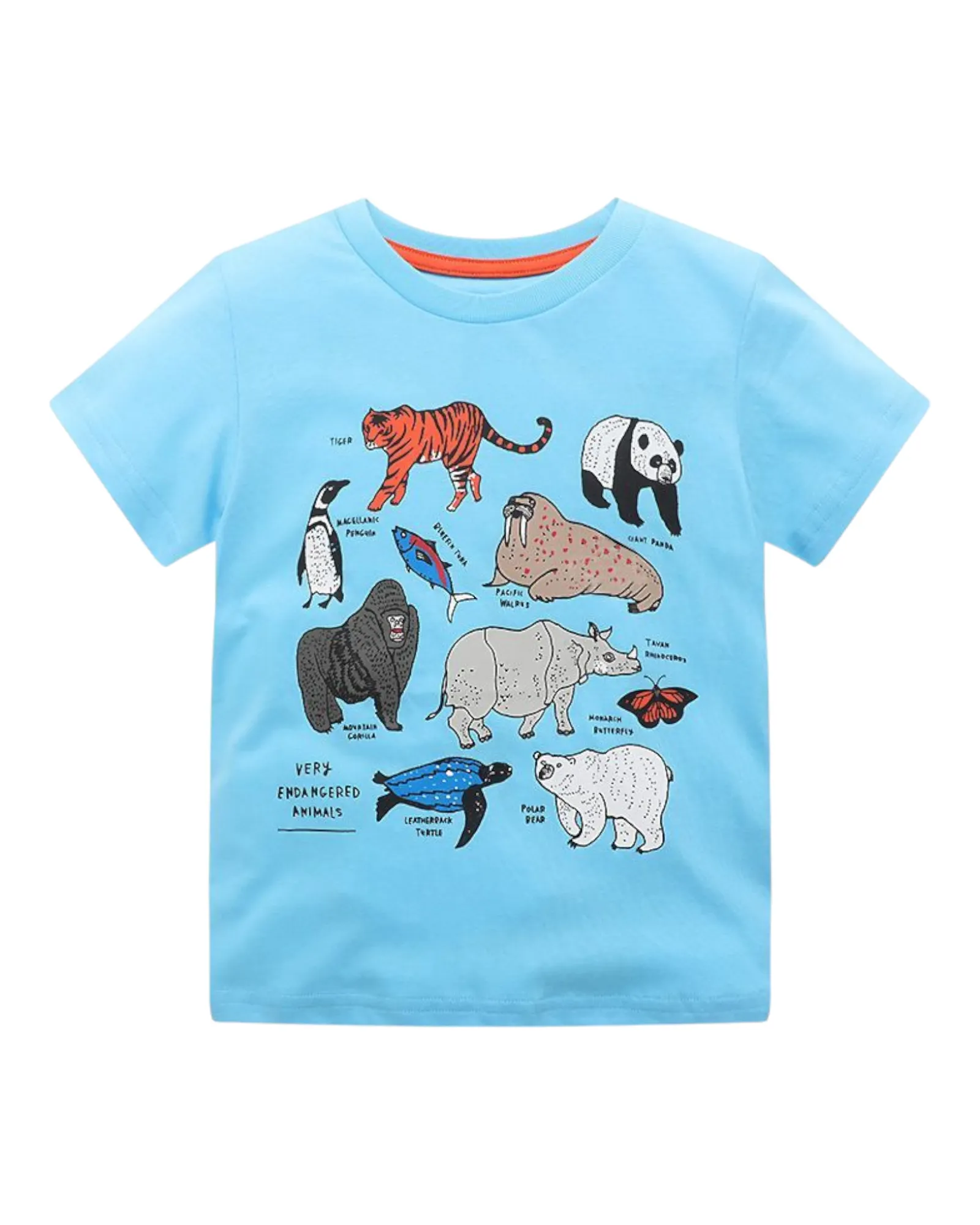 Boys' Patterned Graphic T-Shirts