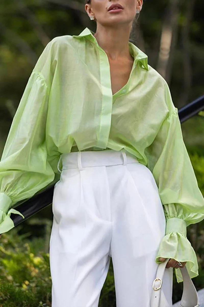 HTT1105 Breezy Elegance Sheer Blouse Top