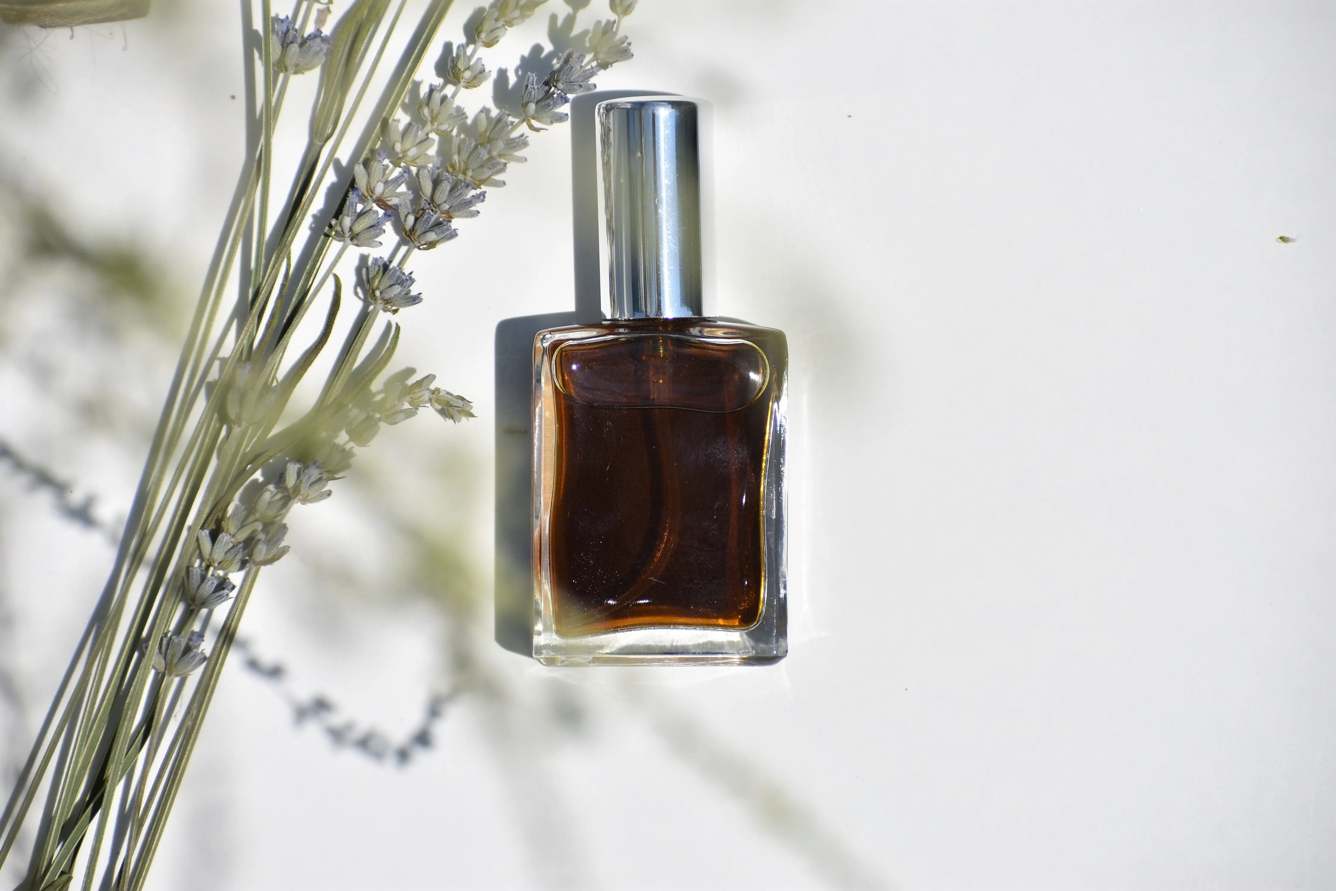 LAVENDER FOUGERE - Natural Botanical Perfume - Timeless