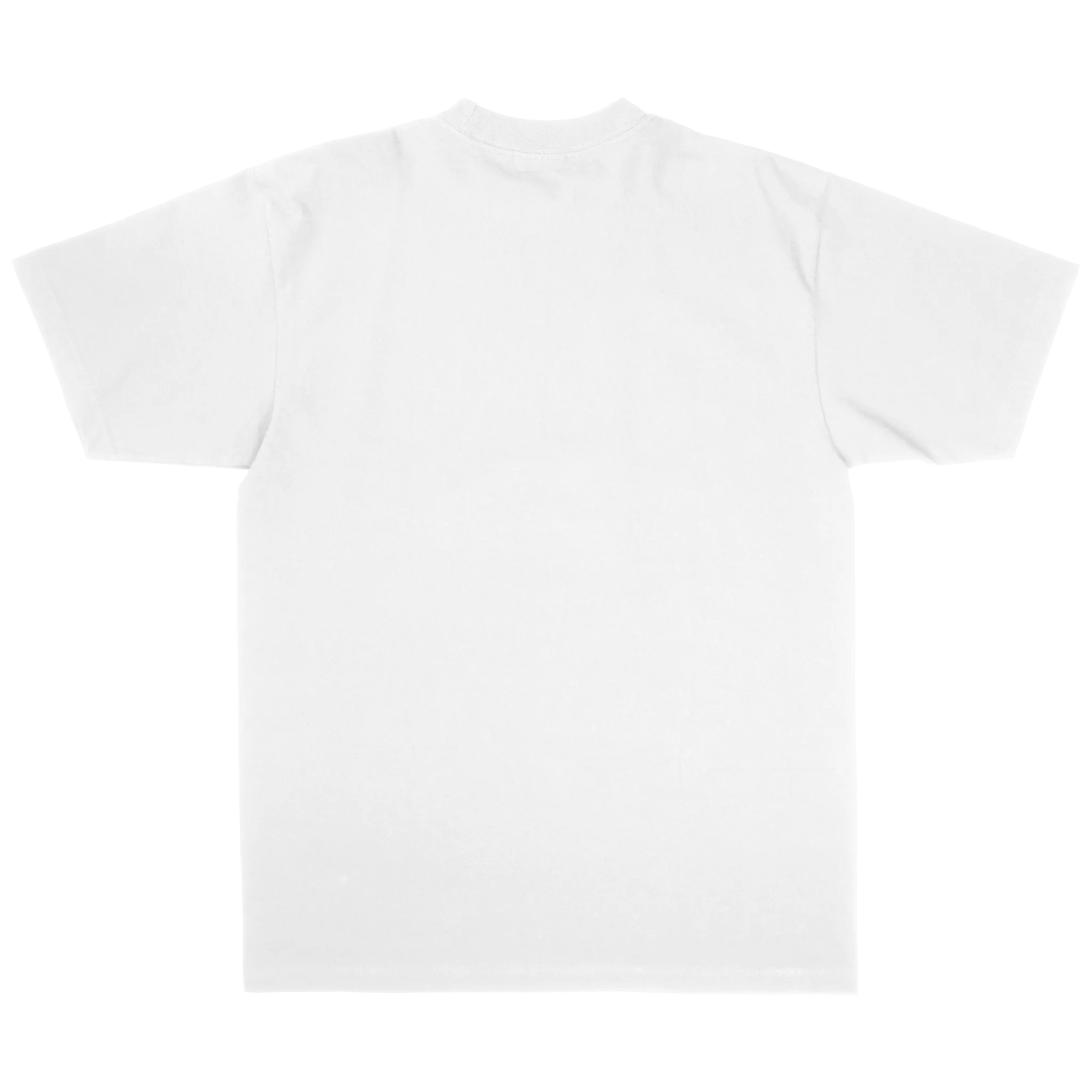 Losing You Was My Biggest Win Premium T-Shirt
