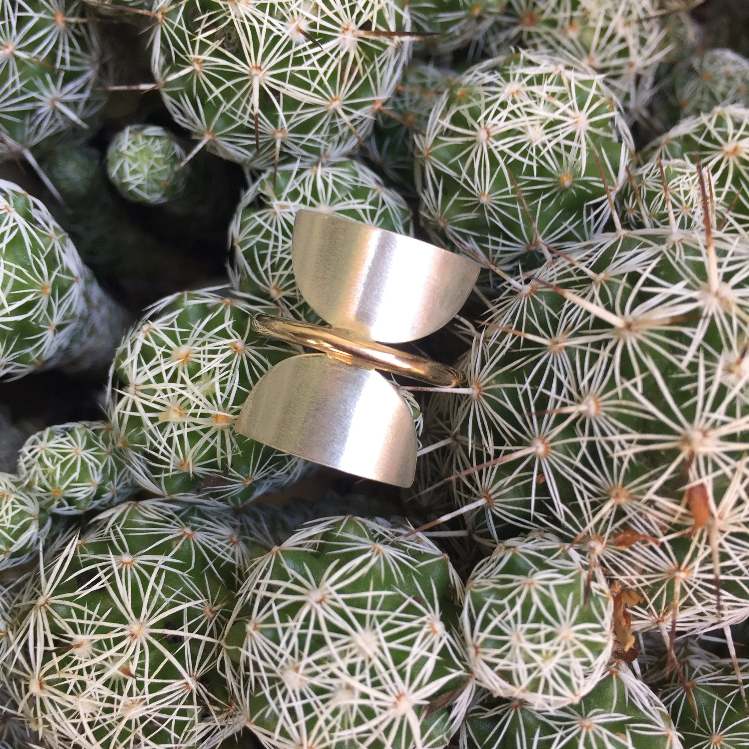 PHASE RING