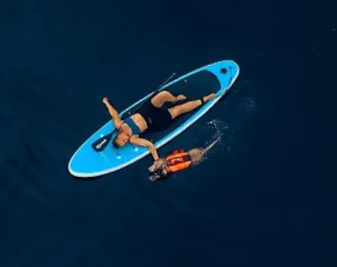 Protector Life Jacket