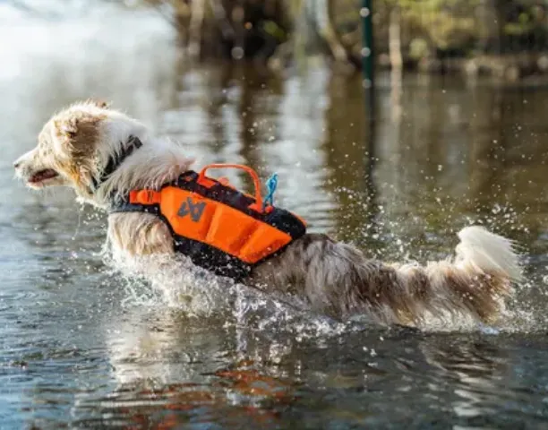 Protector Life Jacket