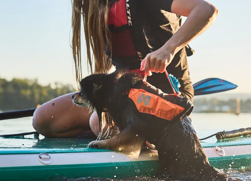 Protector Life Jacket