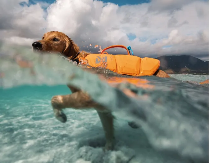 Protector Life Jacket