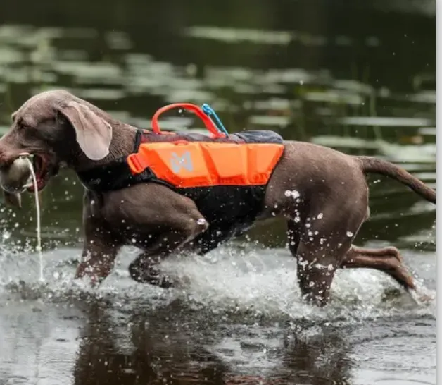 Protector Life Jacket