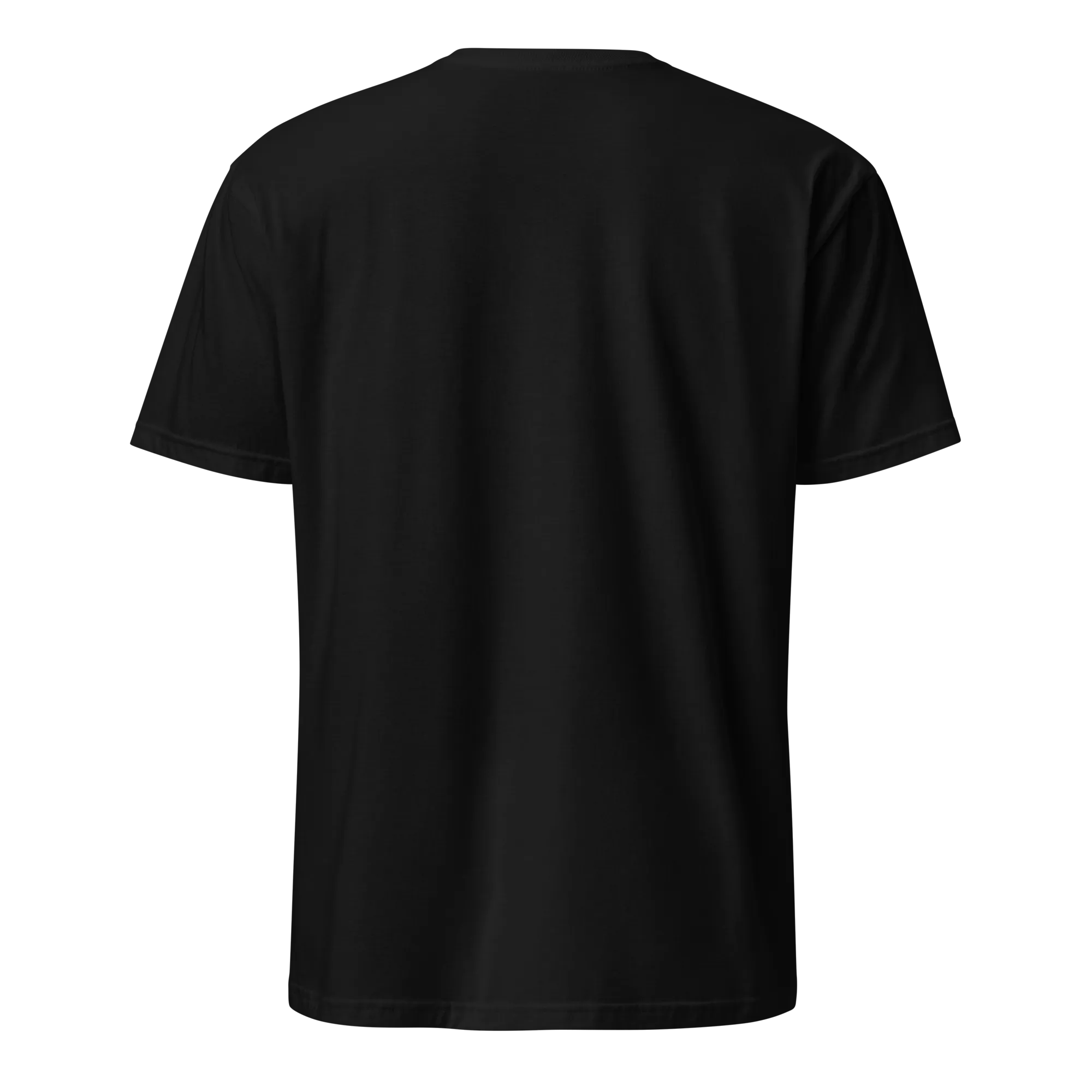 Raised on Habichuelas Con Dulce Unisex Dominican T-Shirt