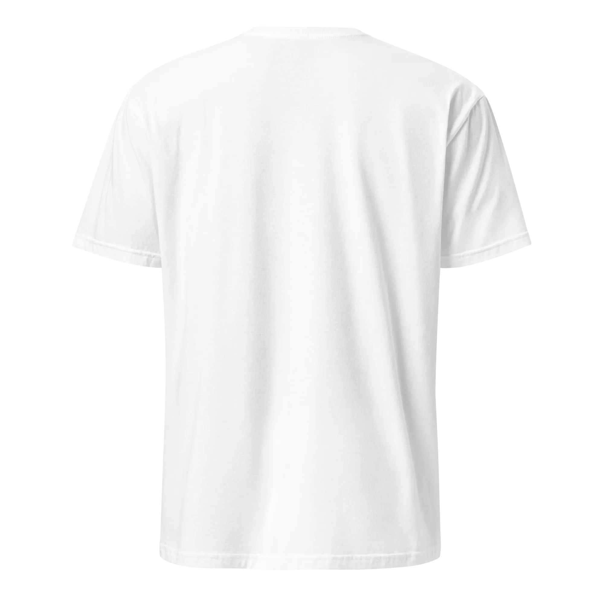 Raised on Habichuelas Con Dulce Unisex Dominican T-Shirt