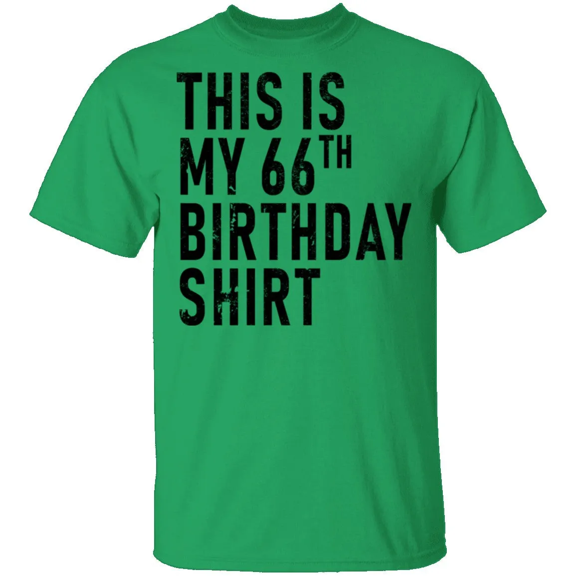 This Is My 66th Birthday Shirt T-Shirt