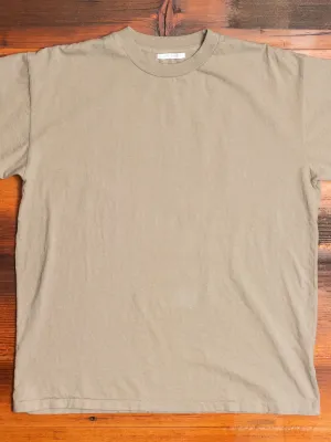University T-Shirt in Shark