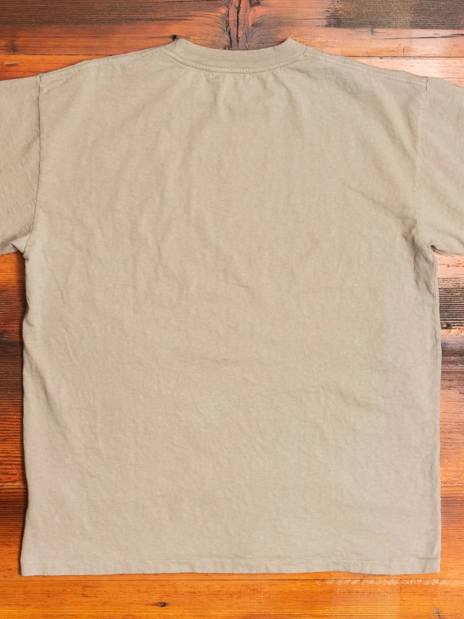 University T-Shirt in Shark