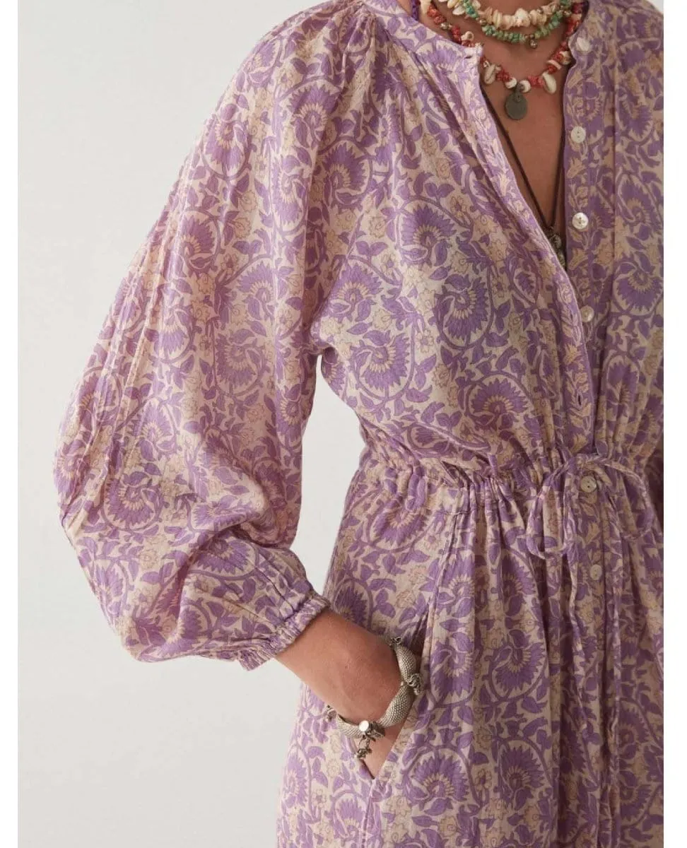 Verbena Casilda Purple Rain Maxi