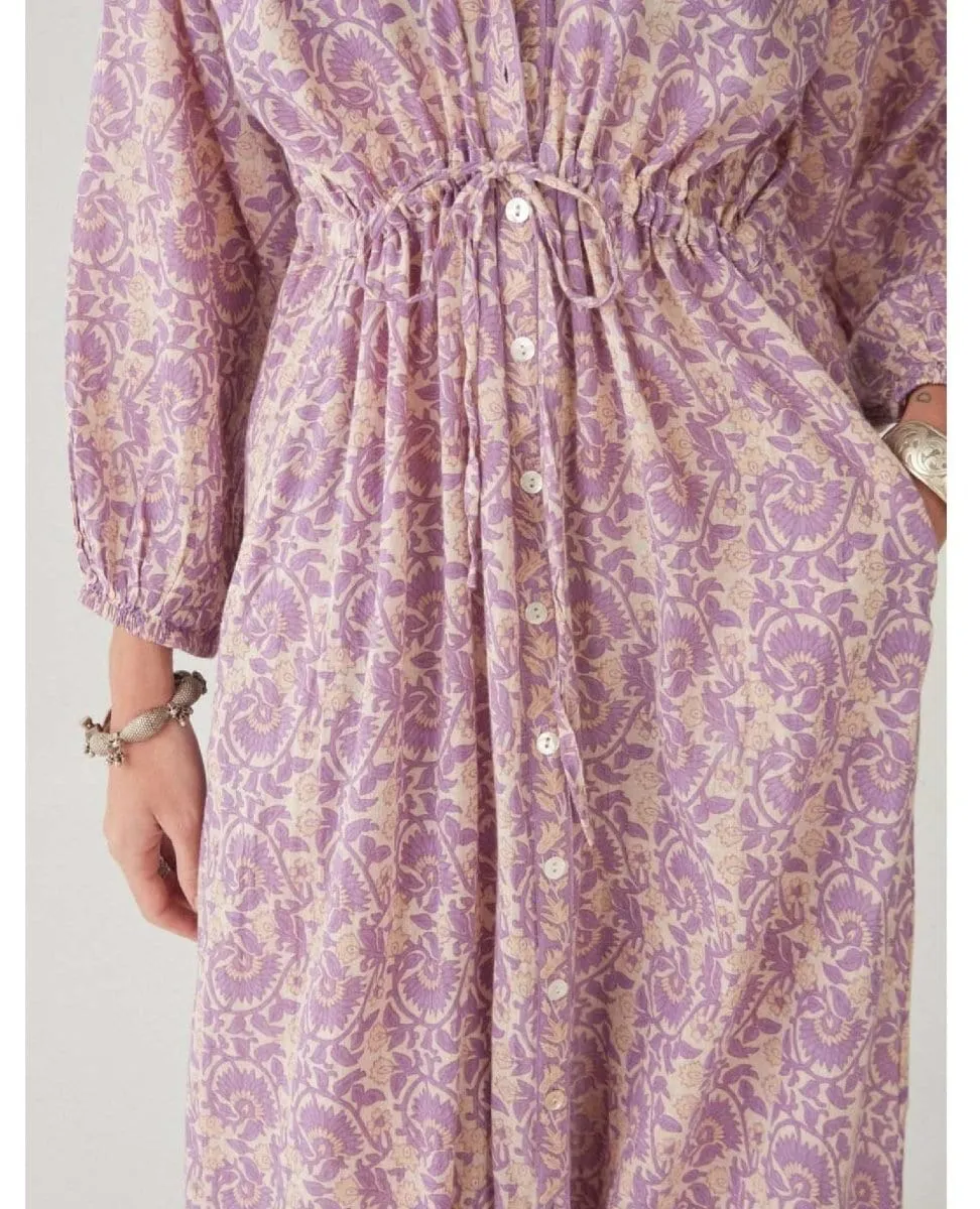 Verbena Casilda Purple Rain Maxi